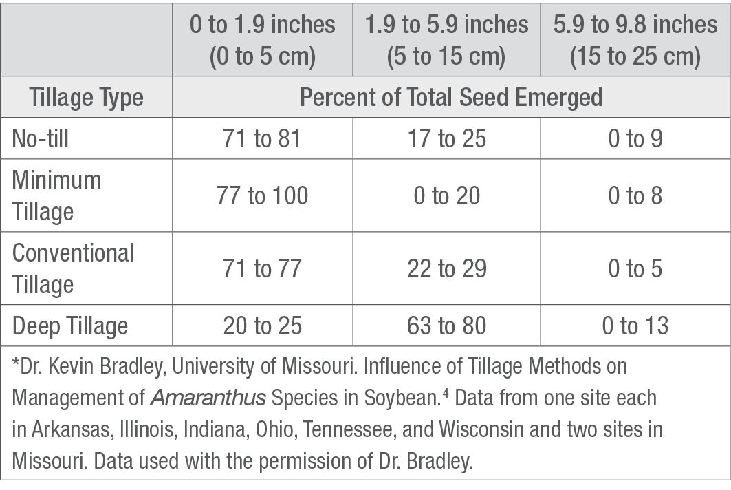 Percent comparison of Amaranthus species seed emergence from various depths by tillage metho